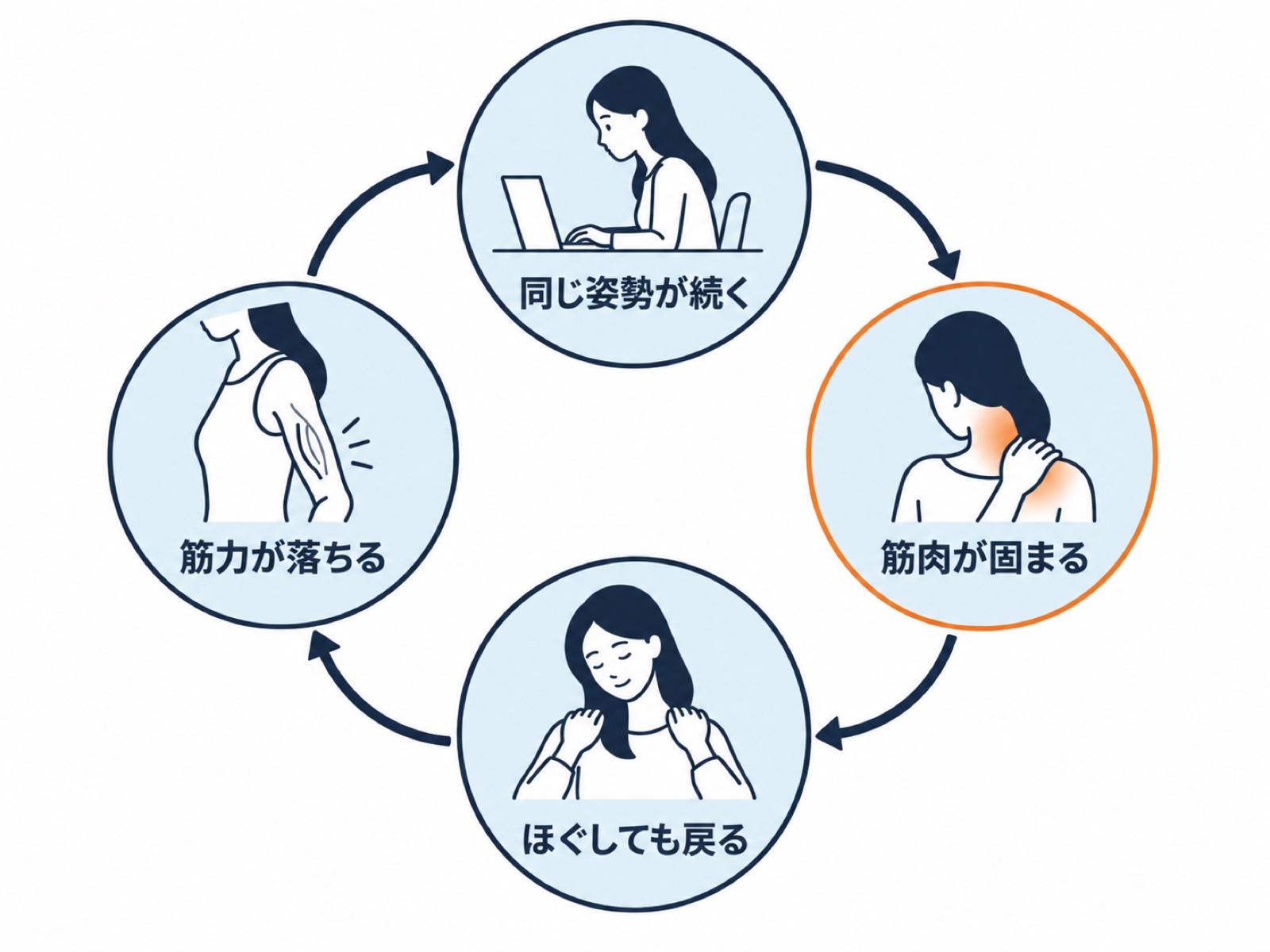 繰り返しやすい首や肩の悪循環：同じ姿勢が続く、筋肉が固まる、ほぐしても戻る、筋力が落ちる